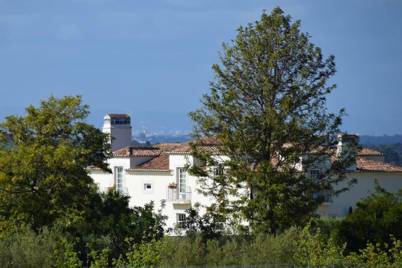 Hotel Quinta De Catralvos Azeitão Zewnętrze zdjęcie